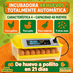 INCUBADORA AUT 48HUEVOS