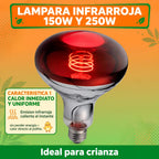 LAMPARA INFRARROJA