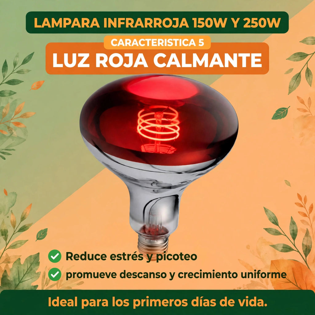 LAMPARA INFRARROJA