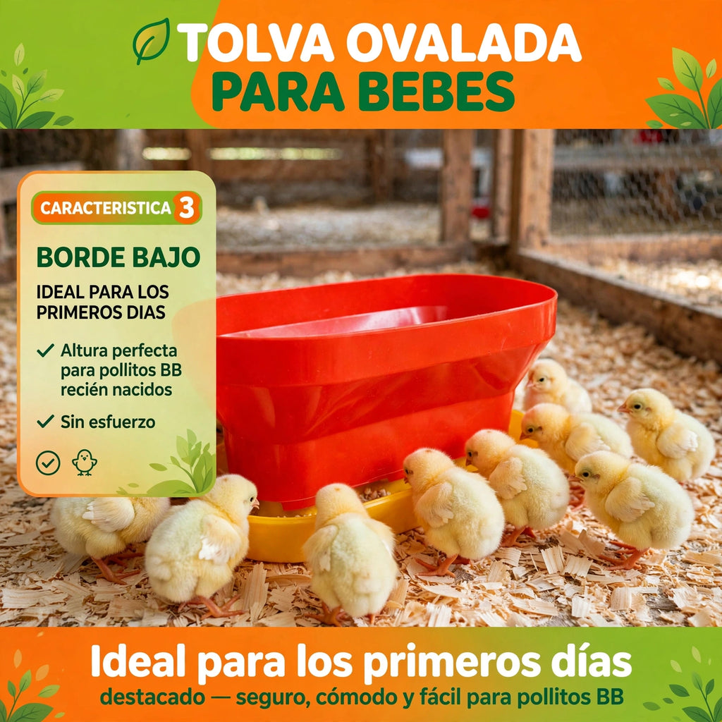 TOLVA OVALADA
