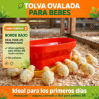 TOLVA OVALADA