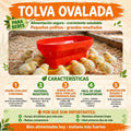 TOLVA OVALADA