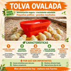 TOLVA OVALADA