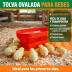 TOLVA OVALADA