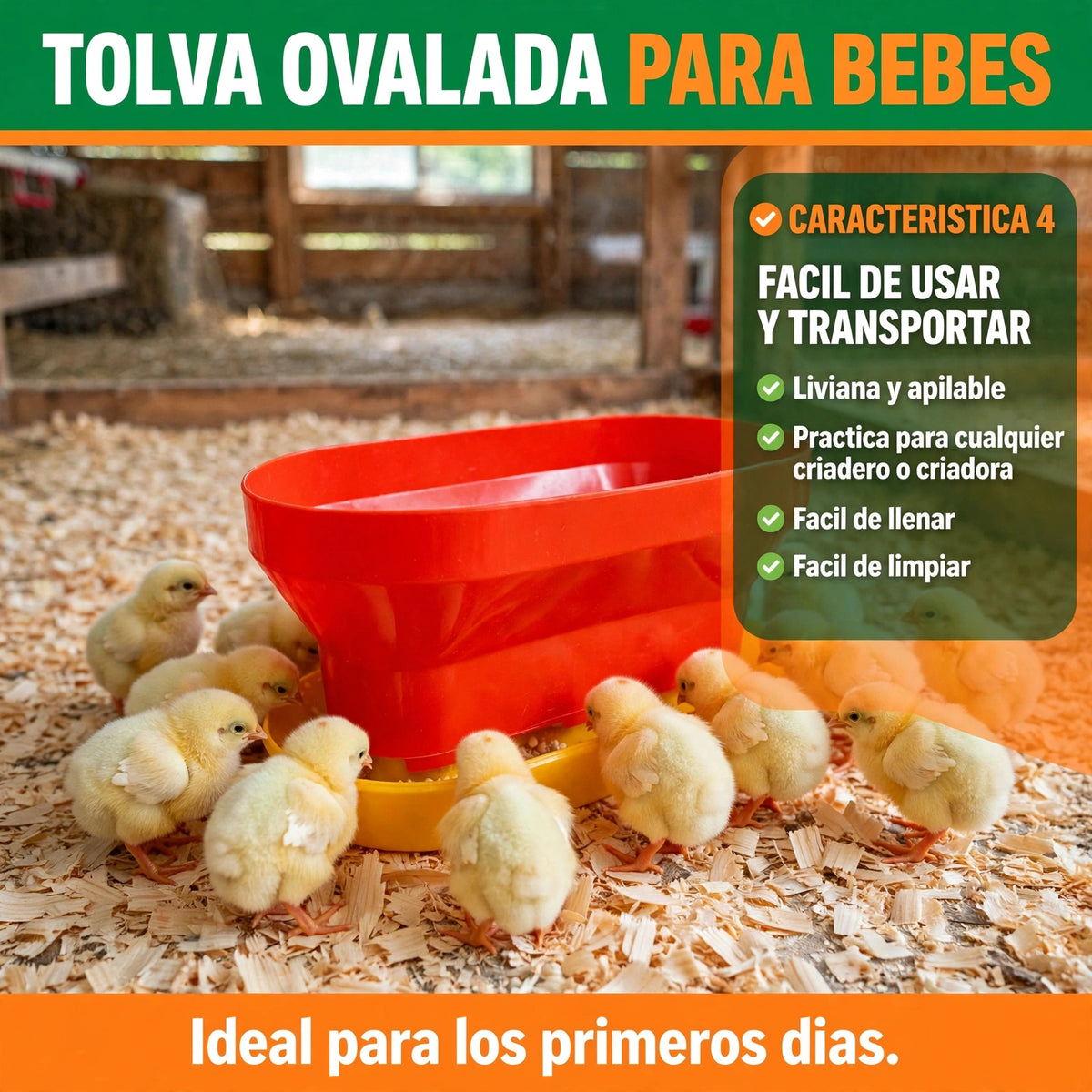 TOLVA OVALADA