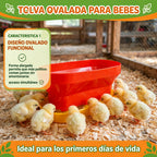 TOLVA OVALADA