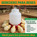 BEBEDEROS PARA POLLITOS BEBES