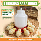BEBEDEROS PARA POLLITOS BEBES