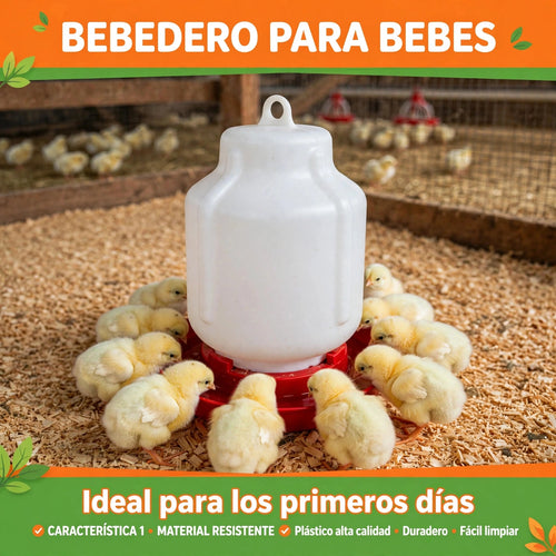 BEBEDEROS PARA POLLITOS BEBES