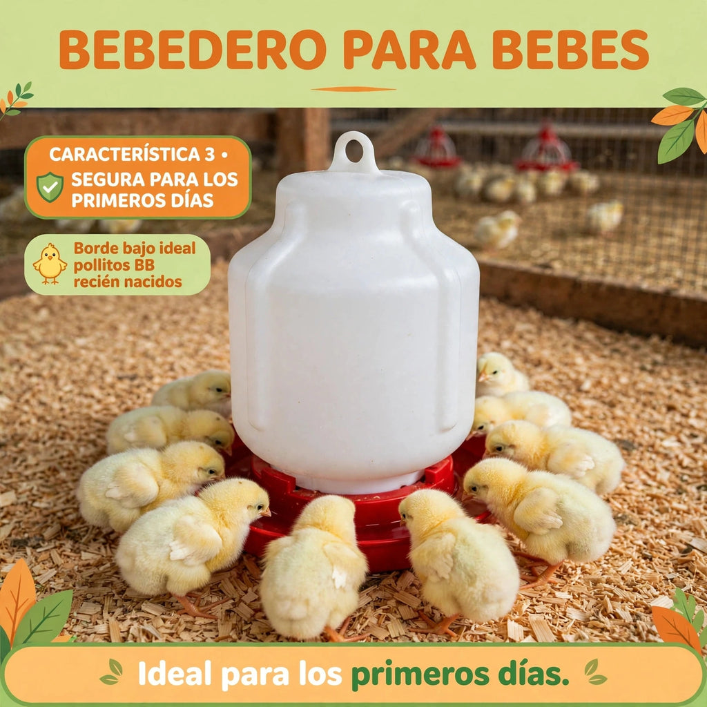 BEBEDEROS PARA POLLITOS BEBES
