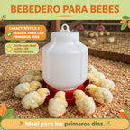BEBEDEROS PARA POLLITOS BEBES